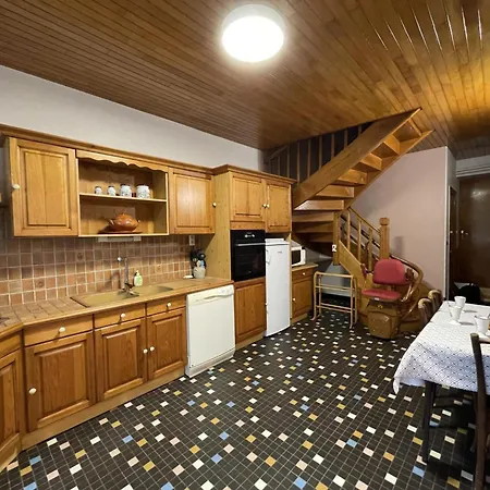 Vakantiehuis Elegant Avec 3 Chambres, Cour Fermee Et Terrasse, Proche Des Activites De Montagne Et De Vichy - Fr-1-489-497 *