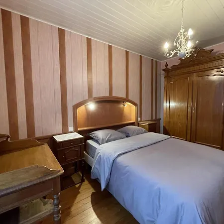 Elegant Avec 3 Chambres, Cour Fermee Et Terrasse, Proche Des Activites De Montagne Et De Vichy - Fr-1-489-497 * Ferrières-sur-Sichon