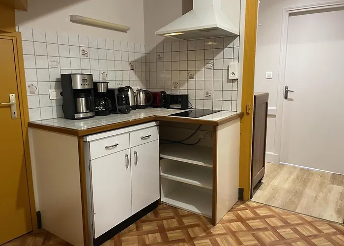 Confortable Avec Terrasse Dans La Montagne Bourbonnaise, Animaux Acceptes - Fr-1-489-497 Ferrieres-sur-Sichon