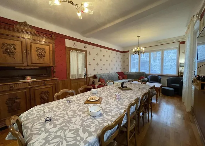 Confortable Avec Terrasse Dans La Montagne Bourbonnaise, Animaux Acceptes - Fr-1-489-497 Ferrieres-sur-Sichon