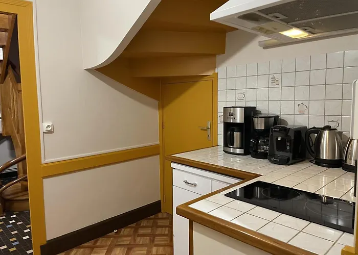 Confortable Avec Terrasse Dans La Montagne Bourbonnaise, Animaux Acceptes - Fr-1-489-497 * Ferrieres-sur-Sichon