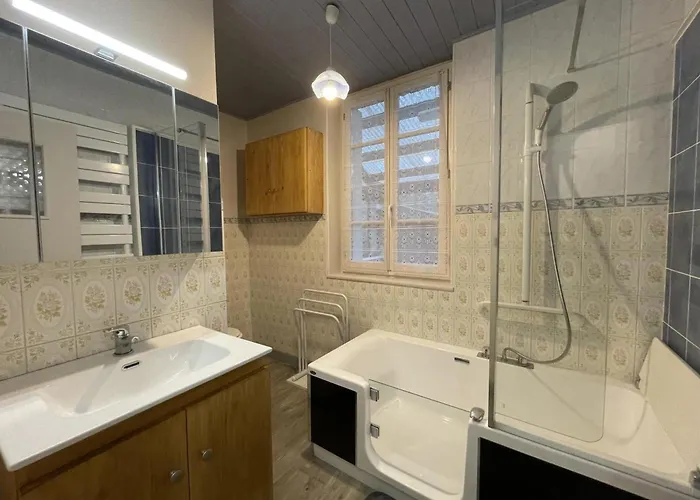 Confortable Avec Terrasse Dans La Montagne Bourbonnaise, Animaux Acceptes - Fr-1-489-497 *